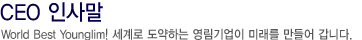 CEO λ縻
